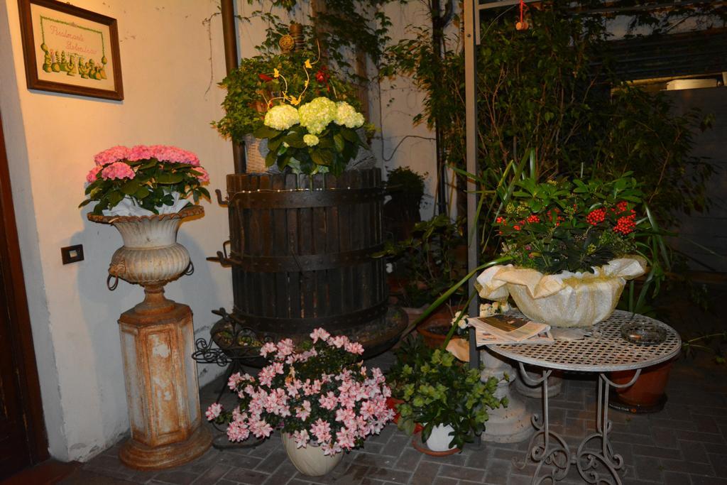 Albergo & Ristorante Selvatico Rivanazzano Terme Dış mekan fotoğraf